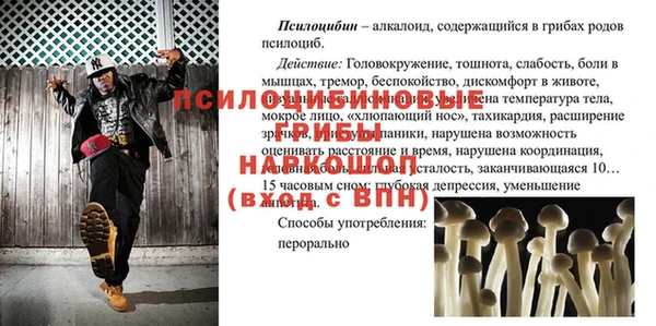 эйфоретик Инсар