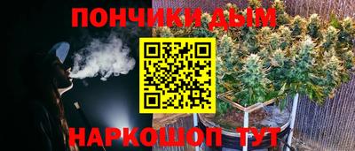 шишки Донской