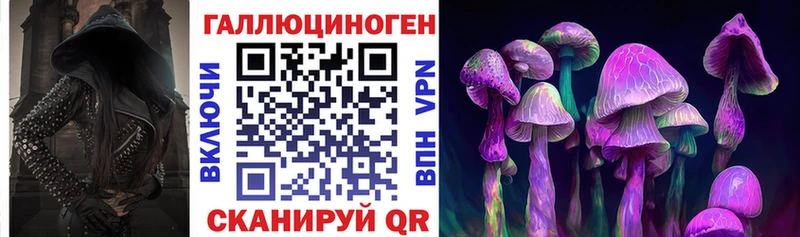 Галлюциногенные грибы Psilocybine cubensis купить наркотики сайты Лыткарино