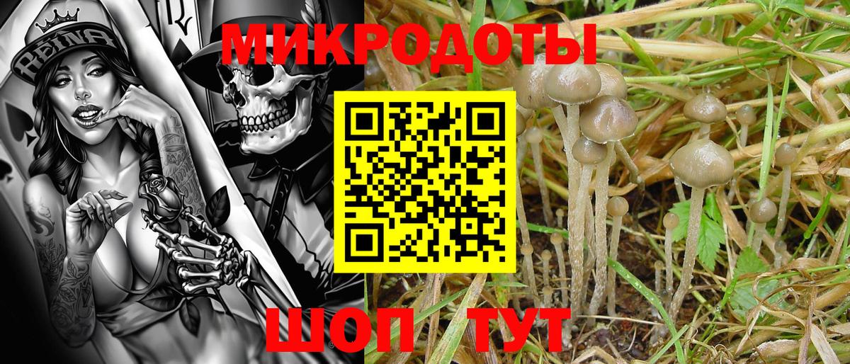 Лыткарино  дарнет шоп  Вход с VPN  Галлюциногенные грибы мухоморы 